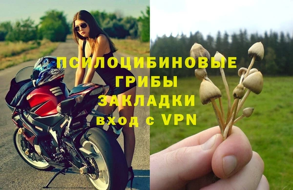 таблы Алзамай
