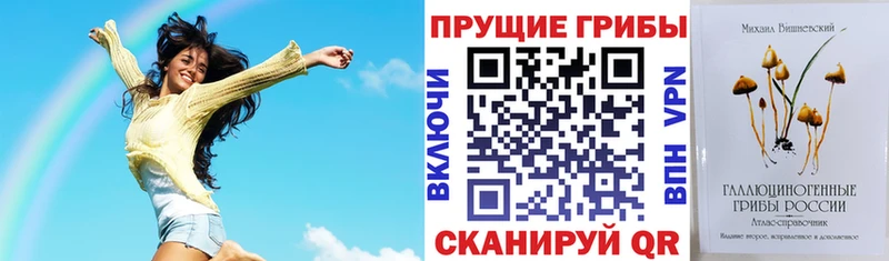 мориарти состав Грязи Псилоцибиновые грибы MAGIC MUSHROOMS где купить наркоту
